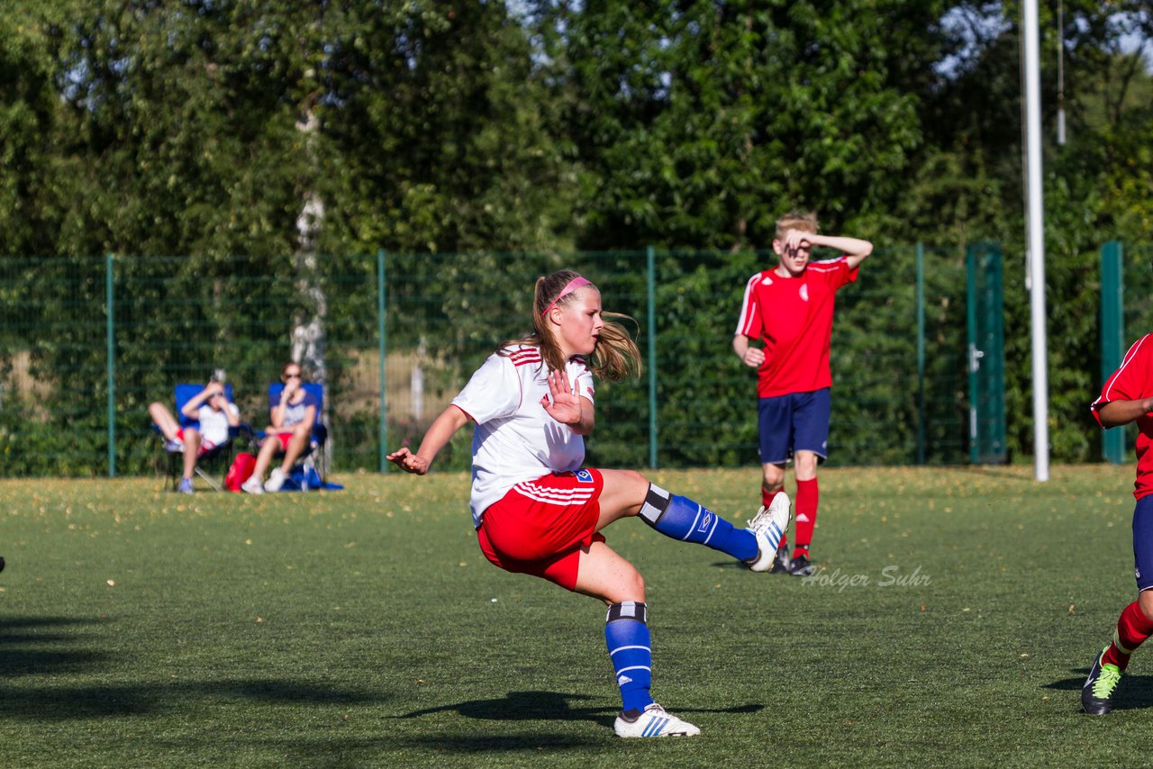 Bild 213 - Frauen HSV - cJun Eintracht Norderstedt : Ergebnis: 1:16